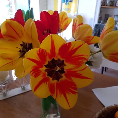 Maison Isivier Magrie