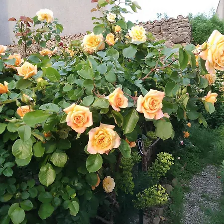 Maison Isivier * Magrie