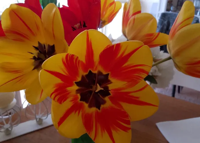 Maison Isivier Magrie