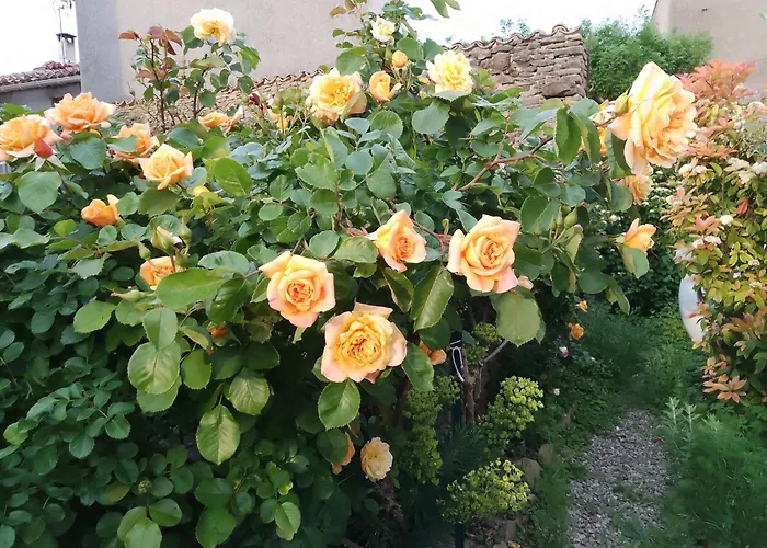 Maison Isivier * Magrie